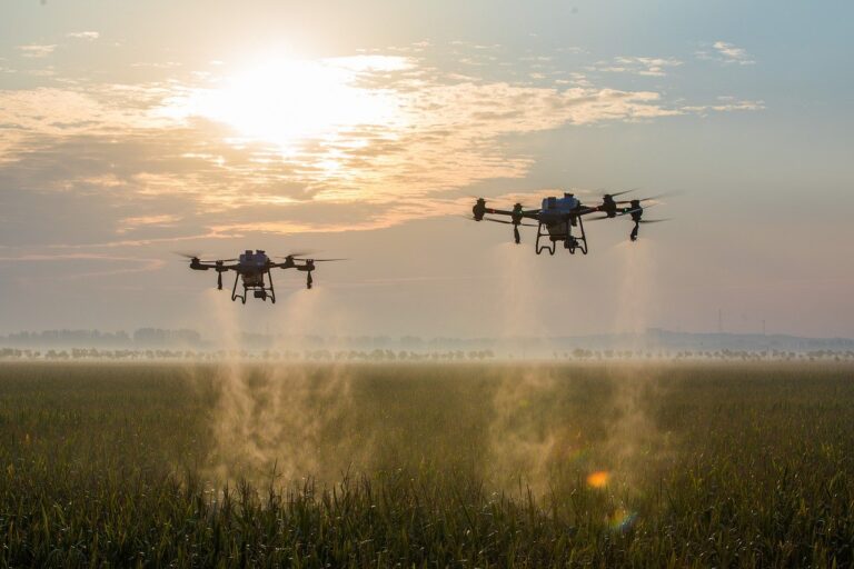 Drones spraying fertilisers on the agriculture field.